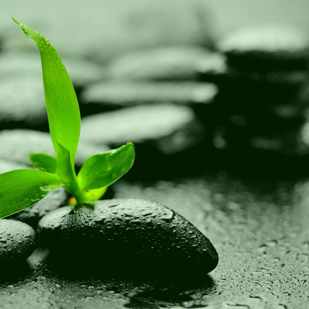 Arbor Law kicks off 2023 with new Legal Operations and Employment Law services